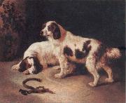 Brittany Spaniels, George Horlor